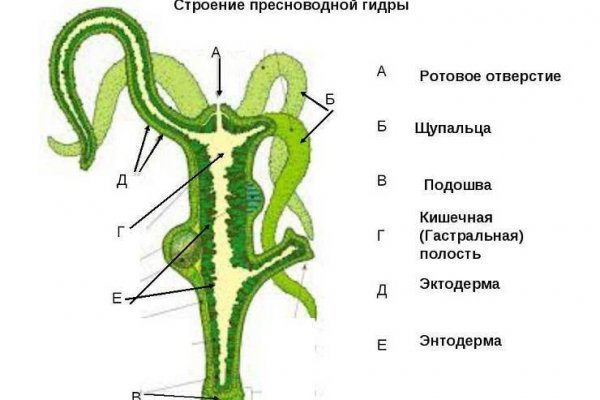 Как зайти на кракен даркнет