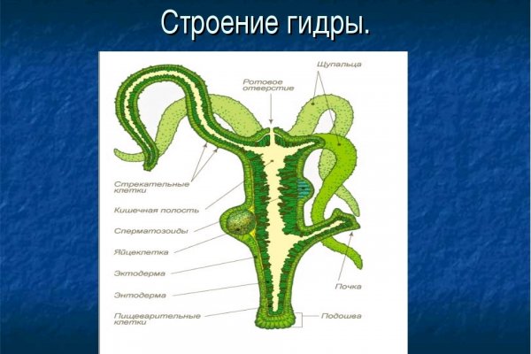 Сайт блэкспрут википедия