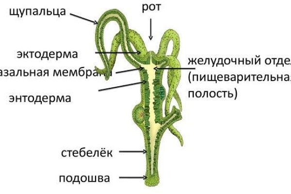 Настоящий адрес меги